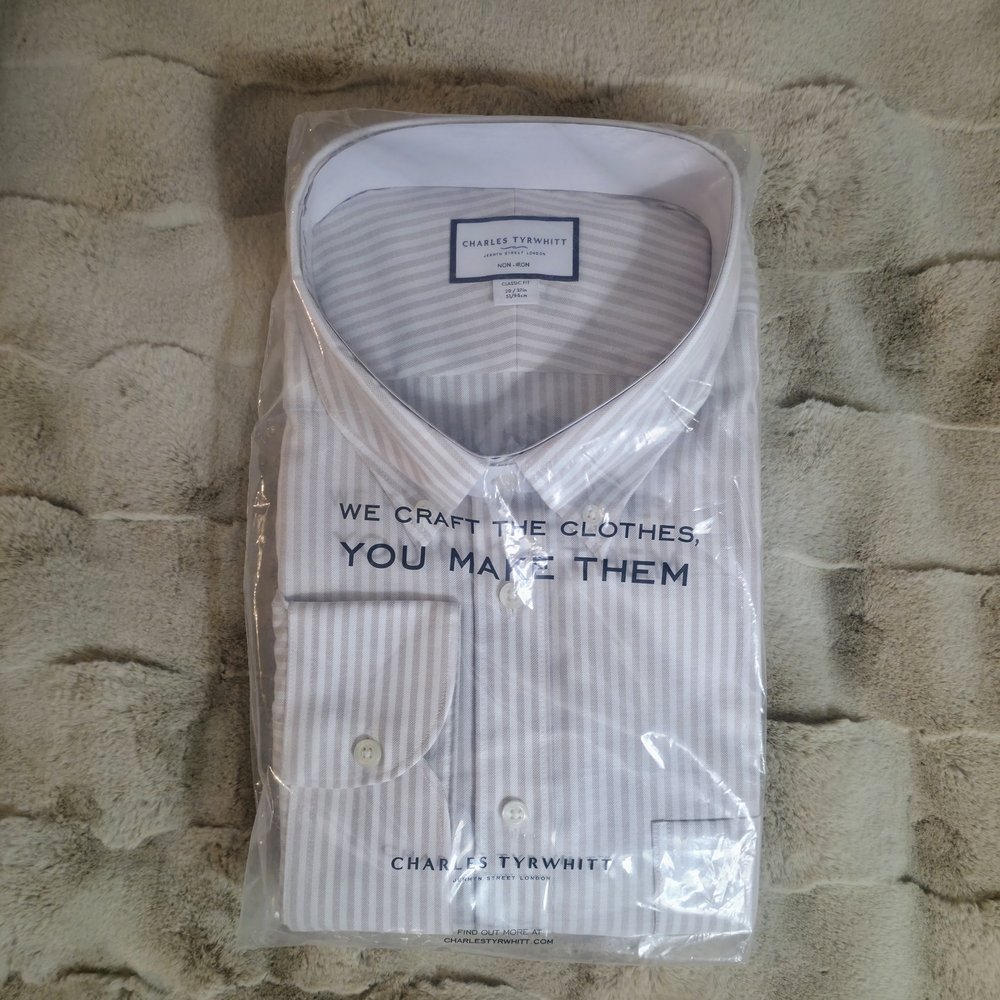 Charles Tyrwhitt Light Gray Striped Dress Shirt